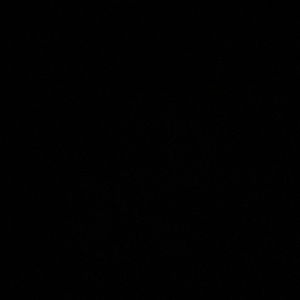 Meet your Posher, Connor